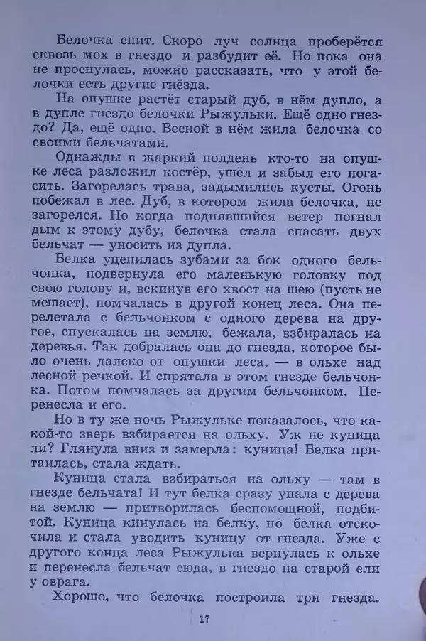 Владимир Брагин - Оранжевое кружево - Страница № 18