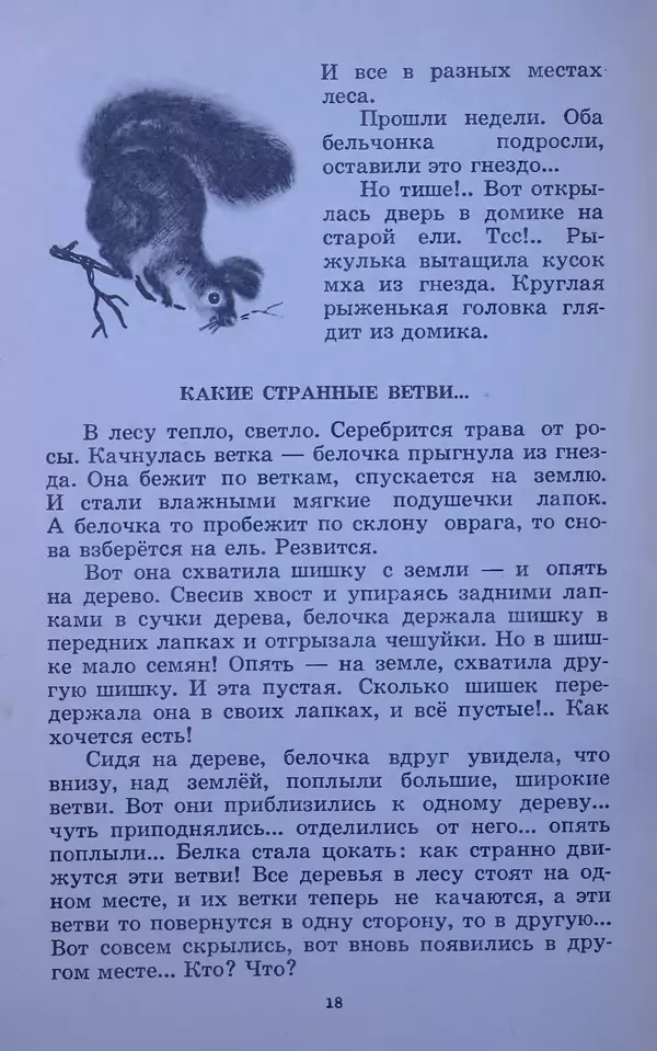 Владимир Брагин - Оранжевое кружево - Страница № 19