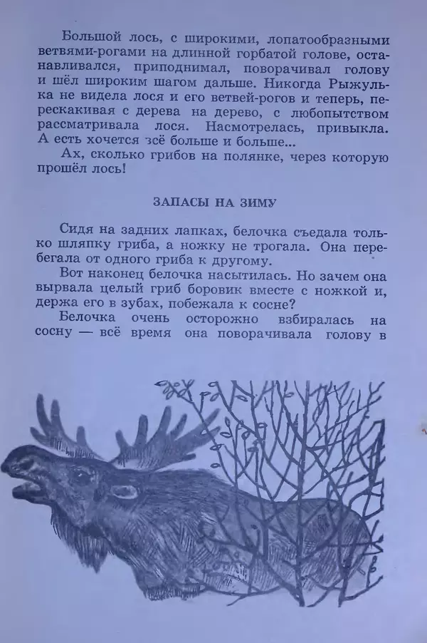 Владимир Брагин - Оранжевое кружево - Страница № 20