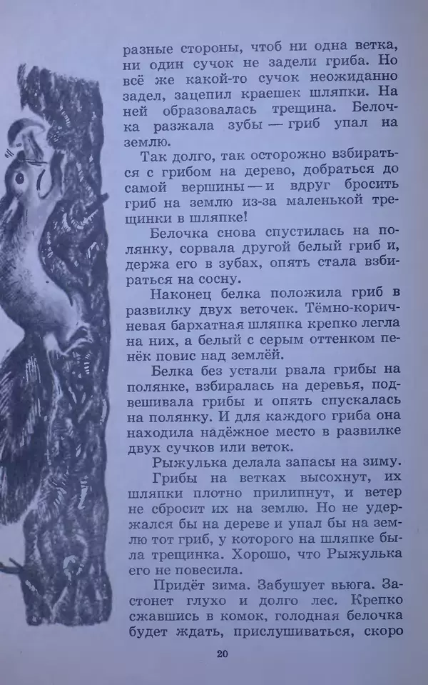 Владимир Брагин - Оранжевое кружево - Страница № 21