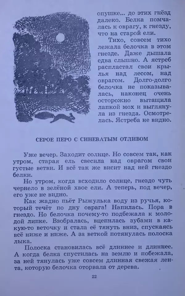 Владимир Брагин - Оранжевое кружево - Страница № 23