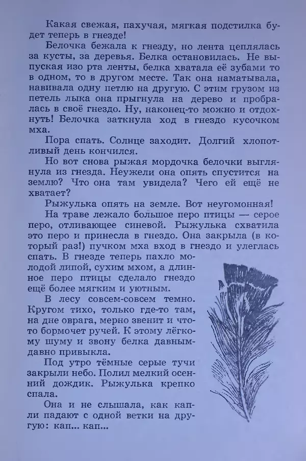 Владимир Брагин - Оранжевое кружево - Страница № 24