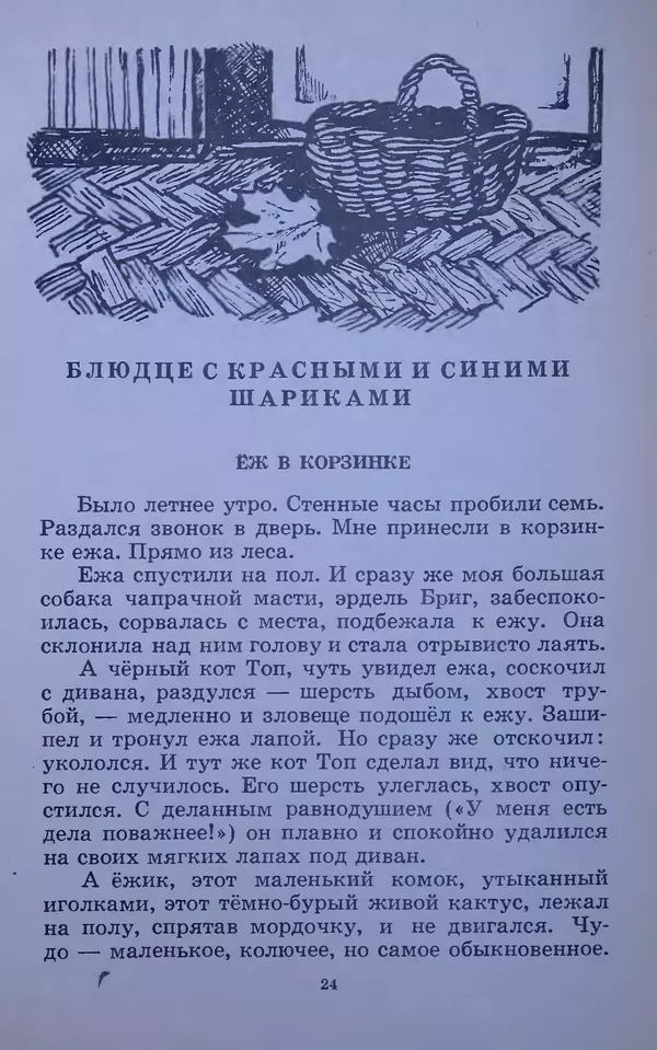 Владимир Брагин - Оранжевое кружево - Страница № 25