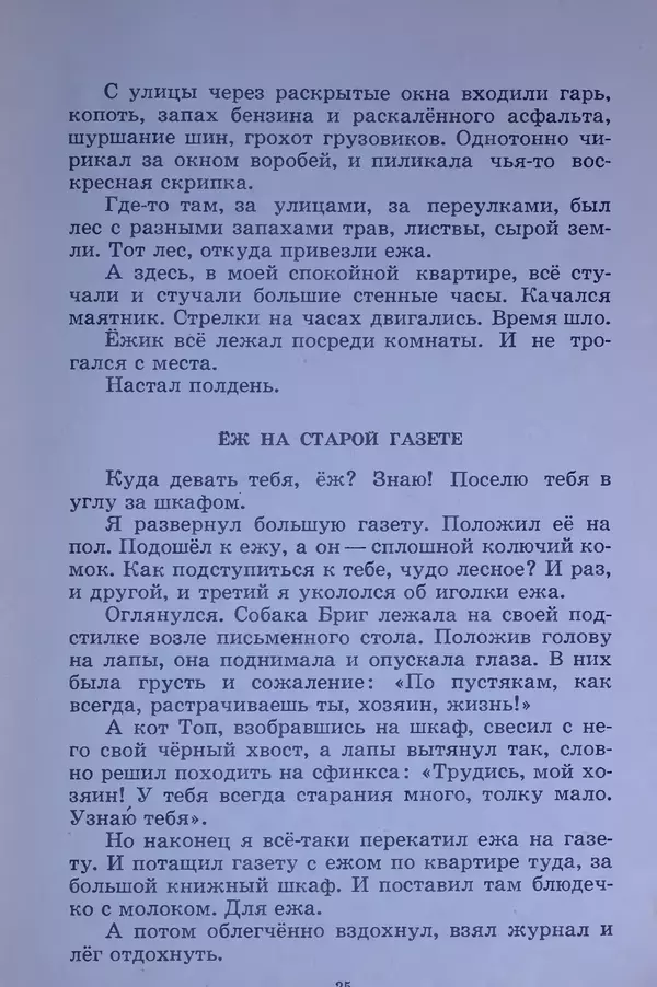 Владимир Брагин - Оранжевое кружево - Страница № 26