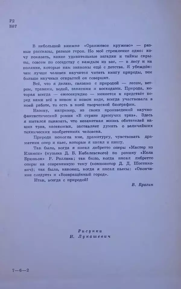 Владимир Брагин - Оранжевое кружево - Страница № 3