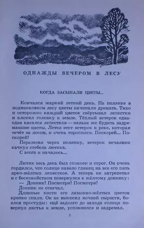 Владимир Брагин - Оранжевое кружево - Страница № 4