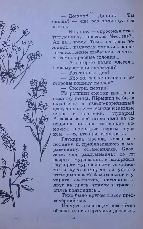 Владимир Брагин - Оранжевое кружево - Страница № 5
