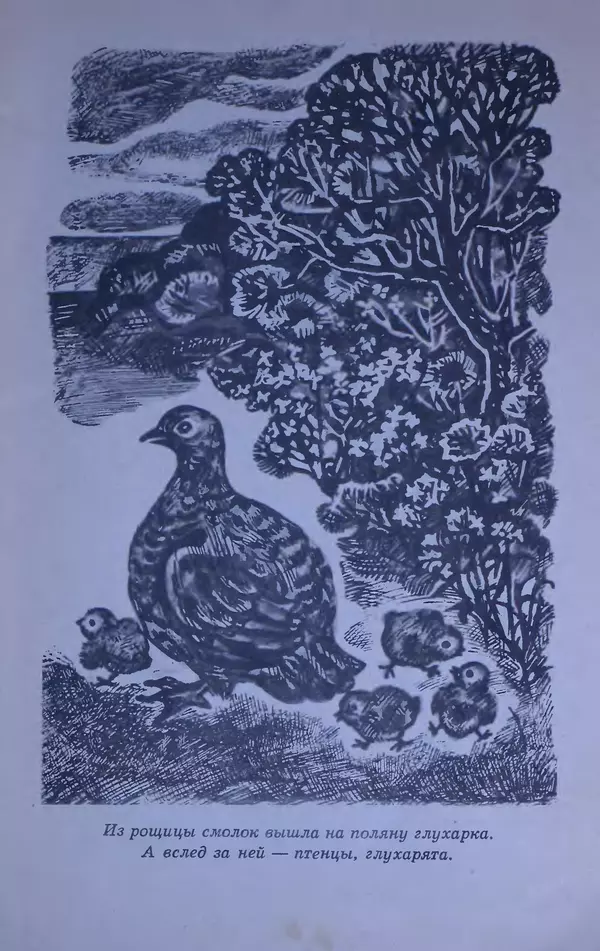 Владимир Брагин - Оранжевое кружево - Страница № 6