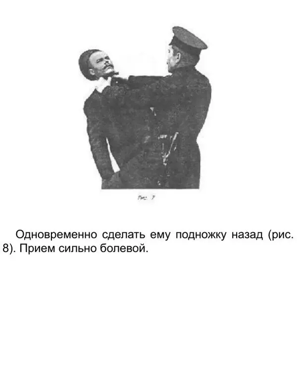 Иван Лебедев - Самооборона и арест - Страница № 16