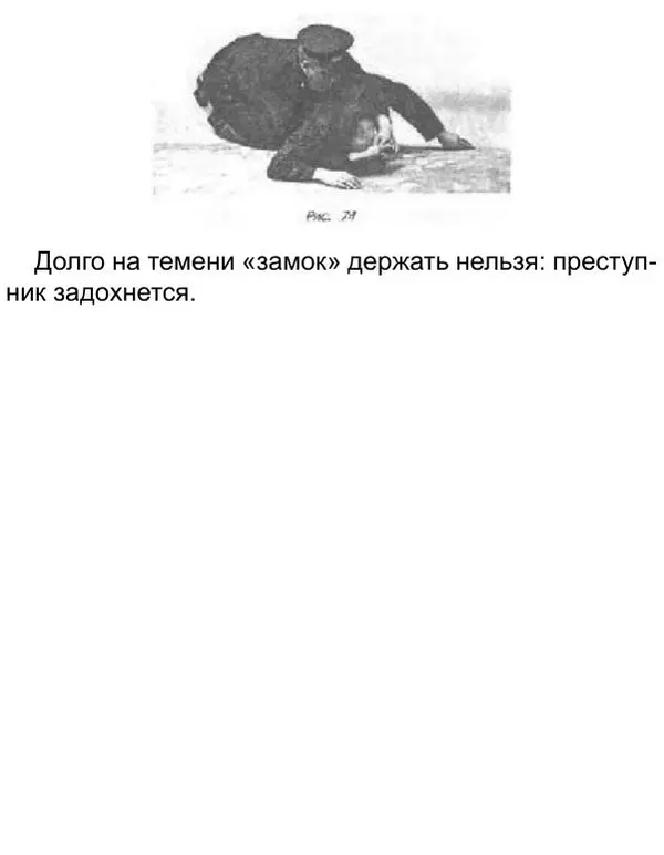 Иван Лебедев - Самооборона и арест - Страница № 84