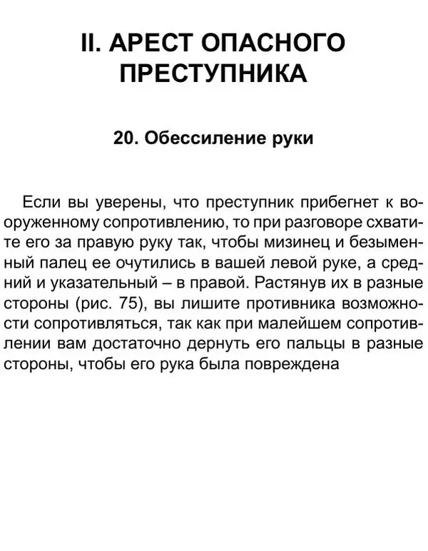 Иван Лебедев - Самооборона и арест - Страница № 85