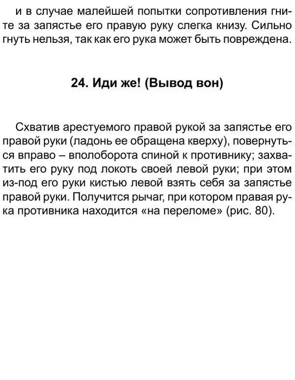 Иван Лебедев - Самооборона и арест - Страница № 91
