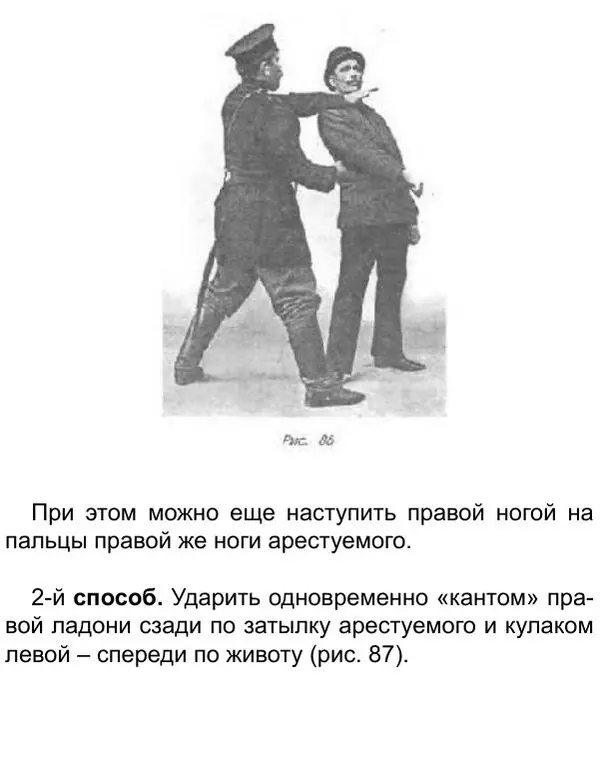 Иван Лебедев - Самооборона и арест - Страница № 100