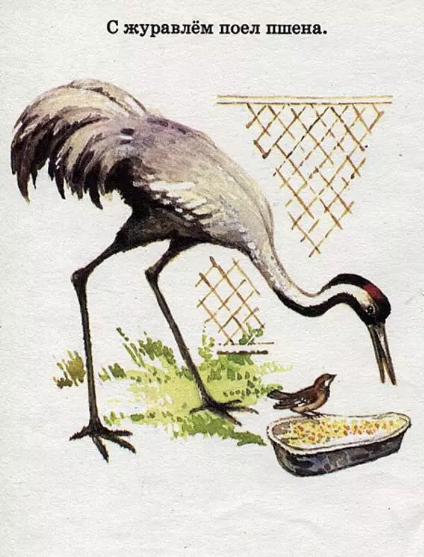 Самуил Маршак - Где обедал воробей? - Страница № 10