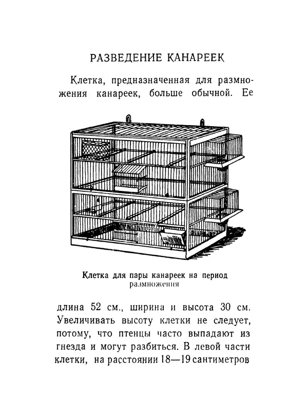 Борис Ржевский - Канарейка - Страница № 25