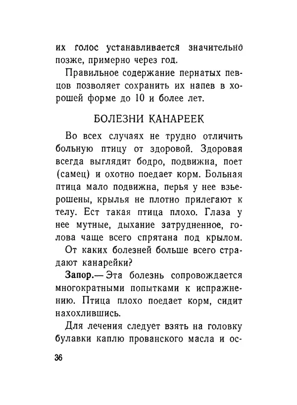Борис Ржевский - Канарейка - Страница № 37
