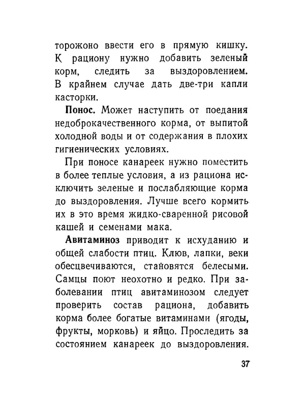 Борис Ржевский - Канарейка - Страница № 38