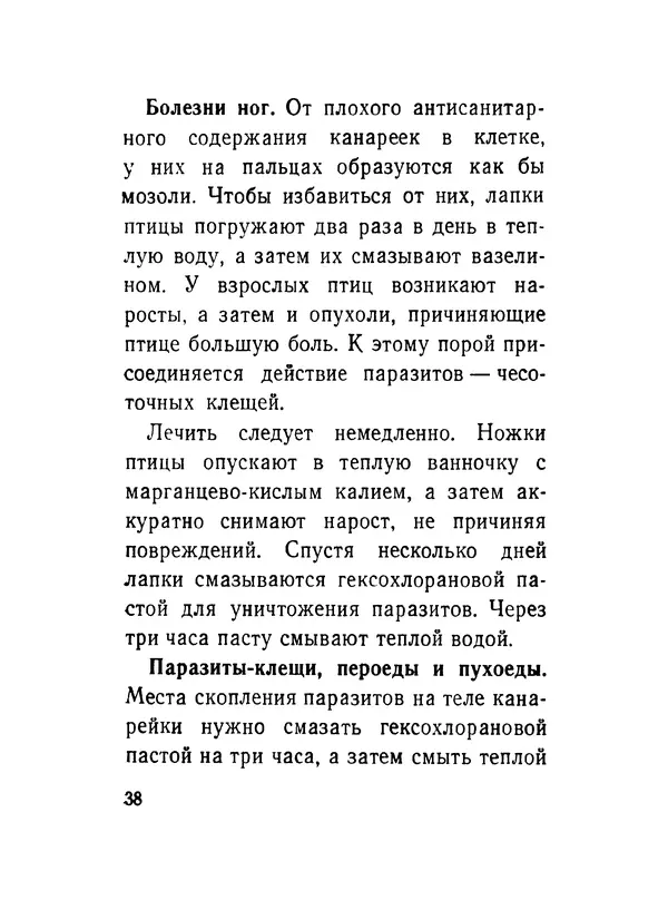 Борис Ржевский - Канарейка - Страница № 39