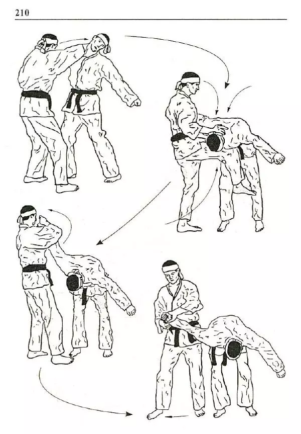 Сергей Гвоздев - Нож в бою. Искусство самозащиты - Страница № 209