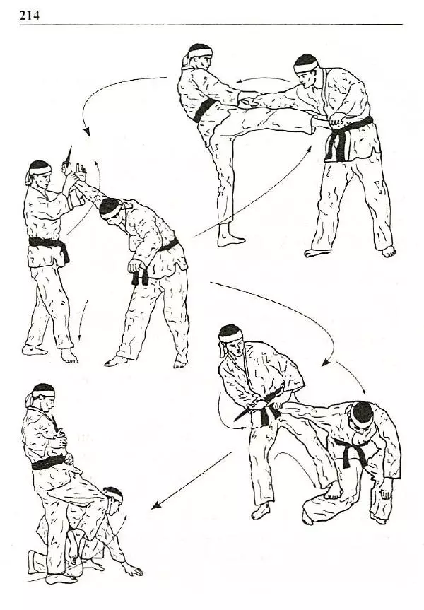 Сергей Гвоздев - Нож в бою. Искусство самозащиты - Страница № 213