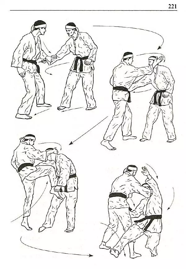 Сергей Гвоздев - Нож в бою. Искусство самозащиты - Страница № 220