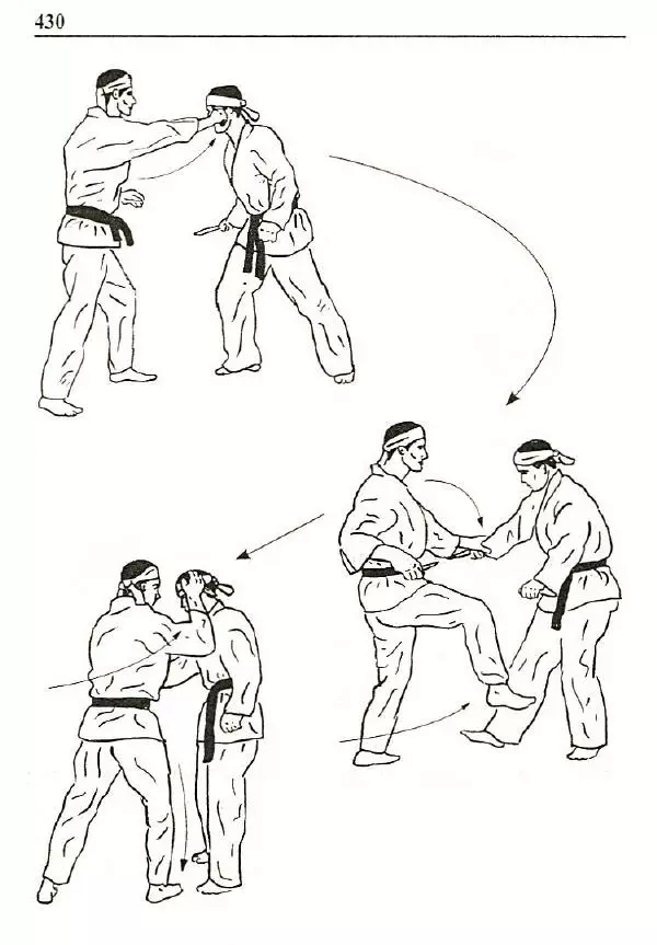 Сергей Гвоздев - Нож в бою. Искусство самозащиты - Страница № 429