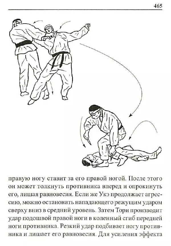 Сергей Гвоздев - Нож в бою. Искусство самозащиты - Страница № 464