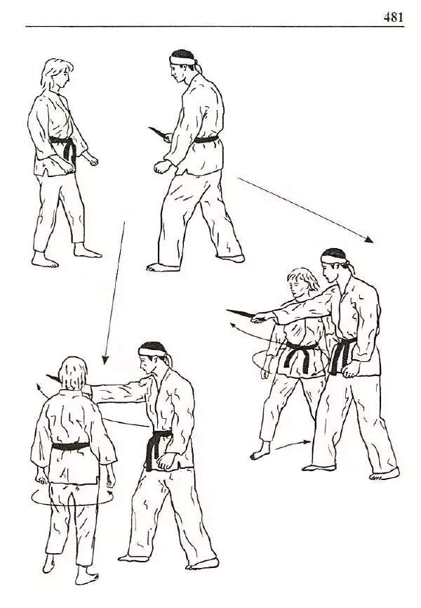 Сергей Гвоздев - Нож в бою. Искусство самозащиты - Страница № 480