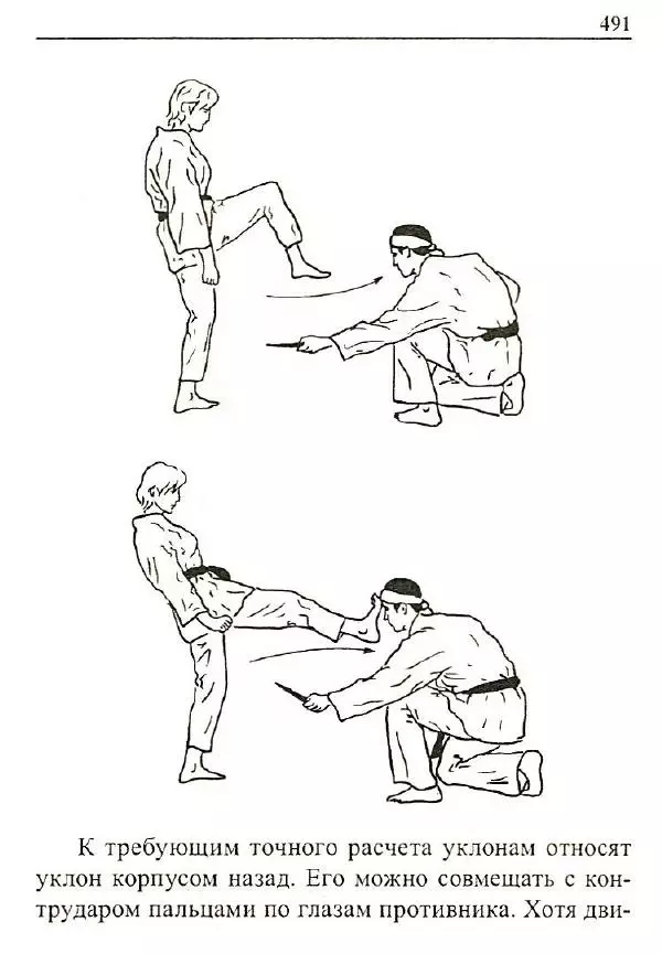 Сергей Гвоздев - Нож в бою. Искусство самозащиты - Страница № 490