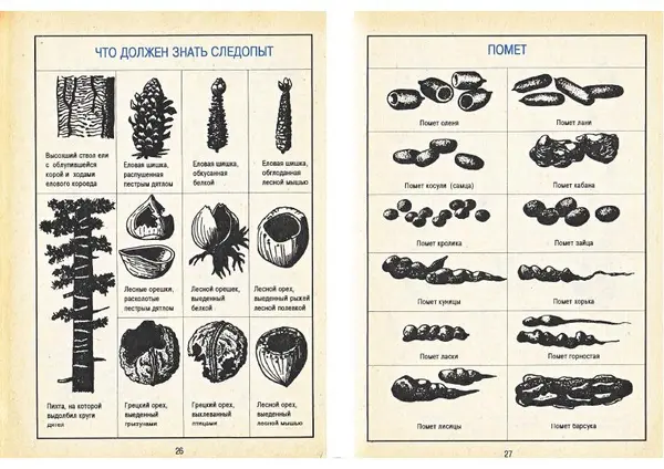 Карел Поломис - Дети на отдыхе - Страница № 14