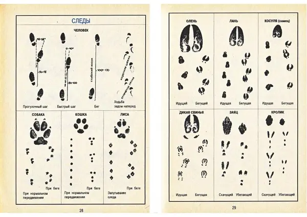 Карел Поломис - Дети на отдыхе - Страница № 15