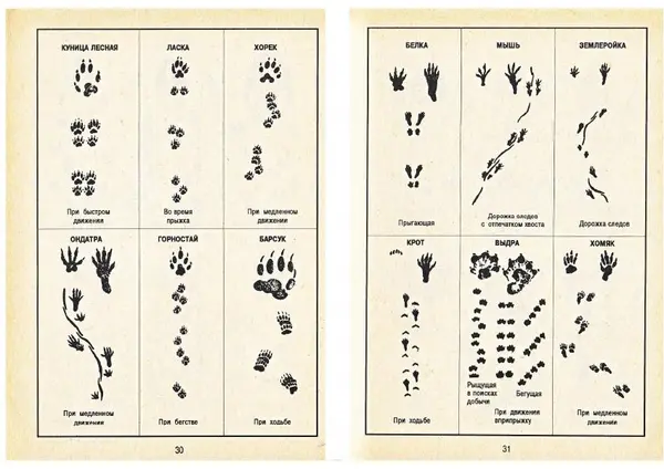 Карел Поломис - Дети на отдыхе - Страница № 16