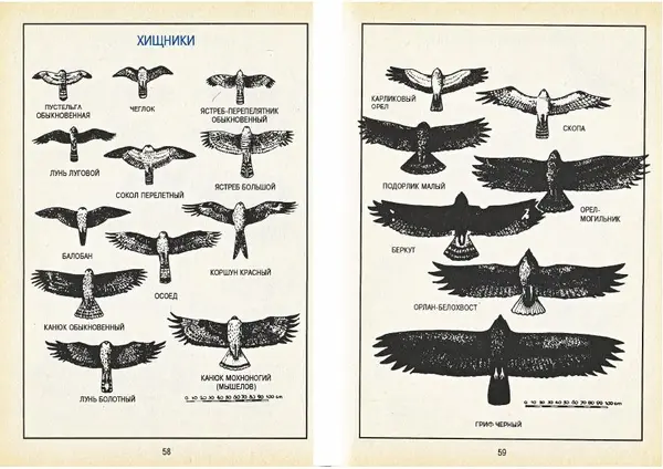 Карел Поломис - Дети на отдыхе - Страница № 30