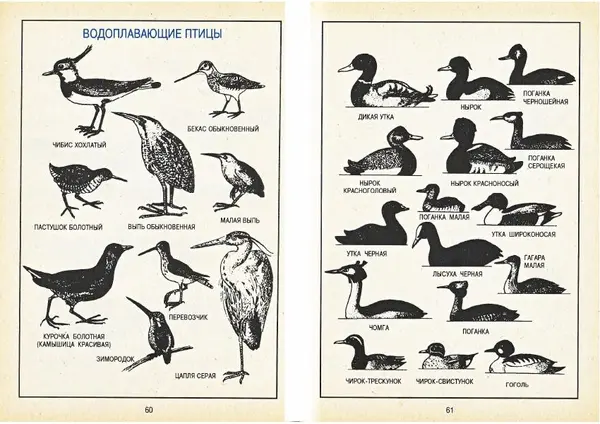 Карел Поломис - Дети на отдыхе - Страница № 31