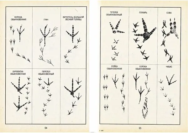 Карел Поломис - Дети на отдыхе - Страница № 33