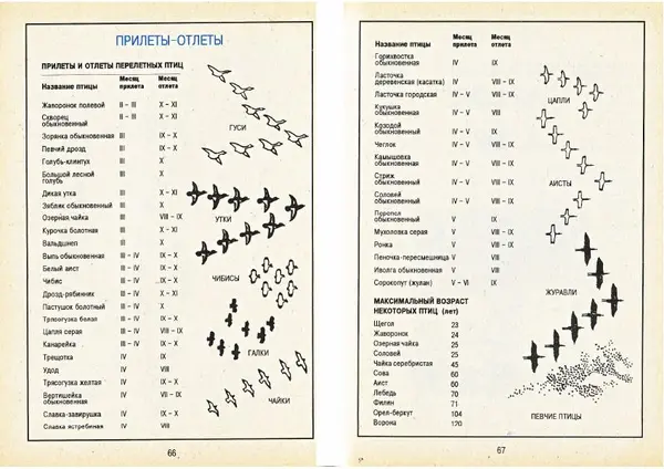 Карел Поломис - Дети на отдыхе - Страница № 34