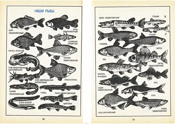 Карел Поломис - Дети на отдыхе - Страница № 46