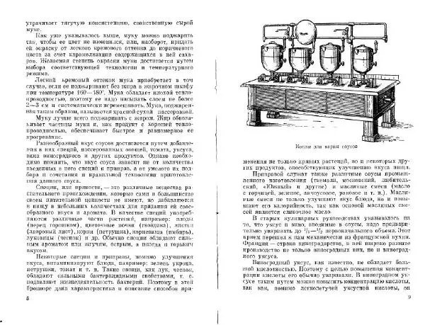  Коллектив авторов - Соусы, специи - Страница № 6