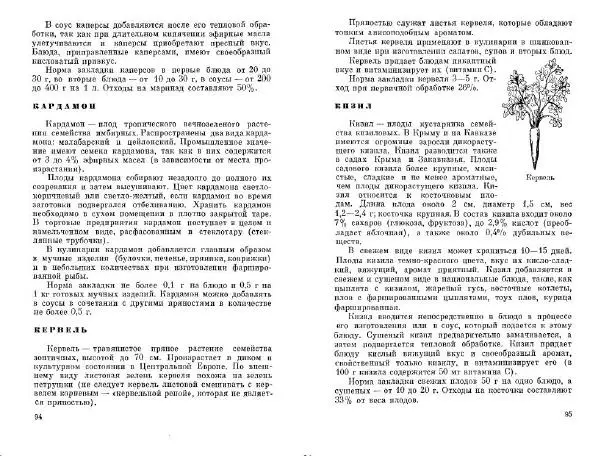  Коллектив авторов - Соусы, специи - Страница № 49