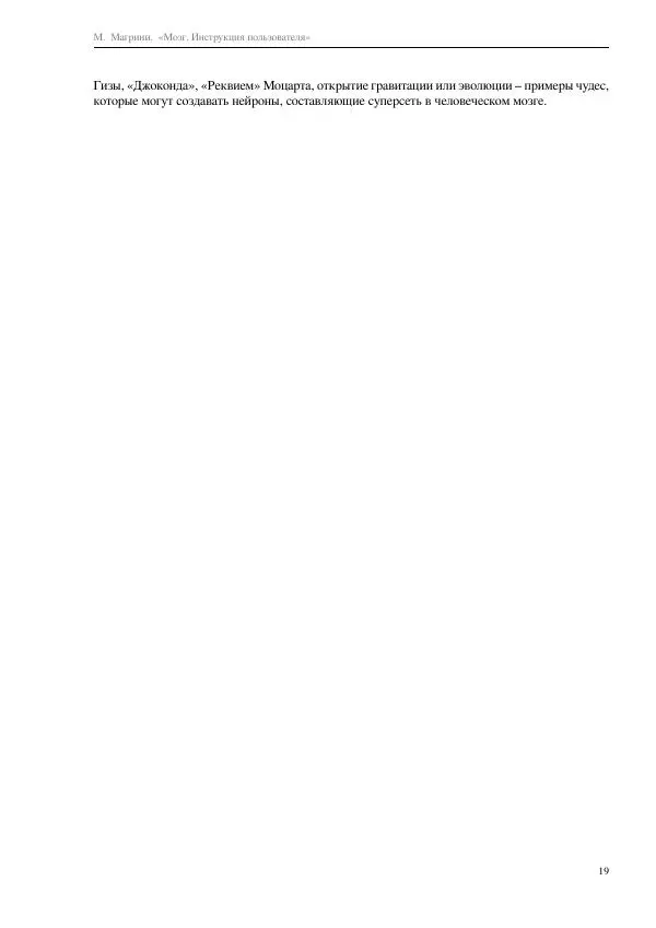 Марко Магрини - Мозг. Инструкция пользователя  - Страница № 21