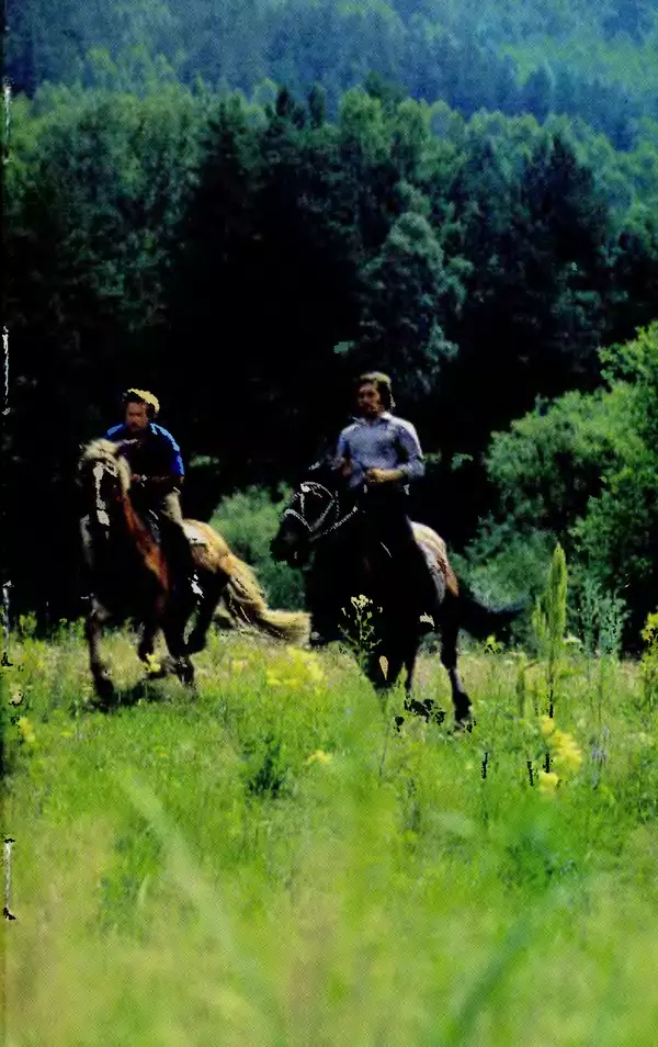 Игорь Бобылев - Конный туризм - Страница № 10