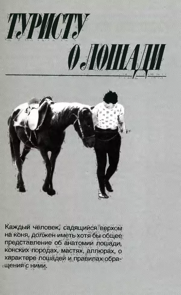Игорь Бобылев - Конный туризм - Страница № 26