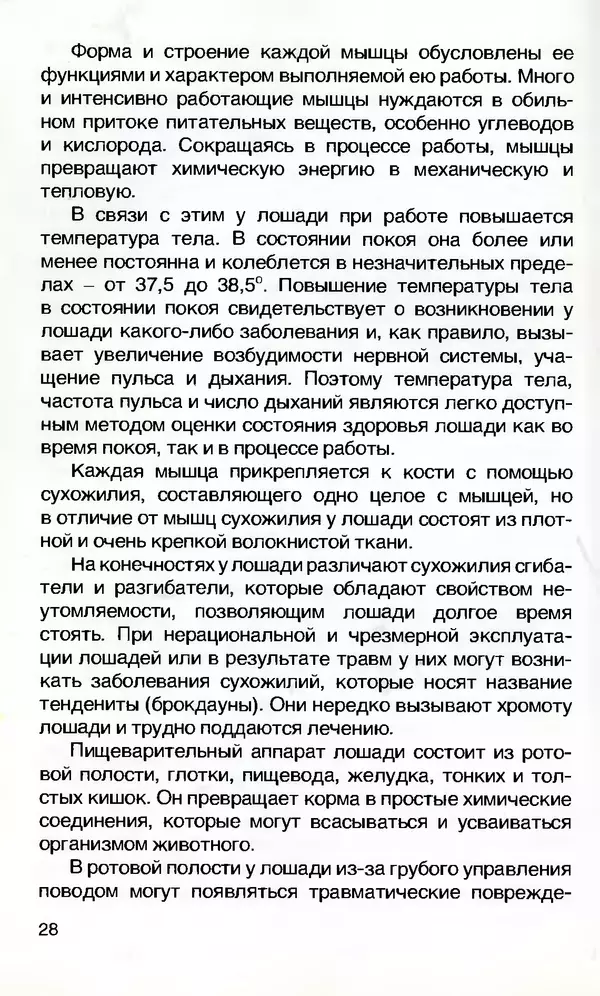 Игорь Бобылев - Конный туризм - Страница № 29