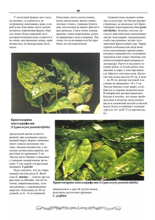 Марк Махлин - Аквариумный сад - Страница № 90