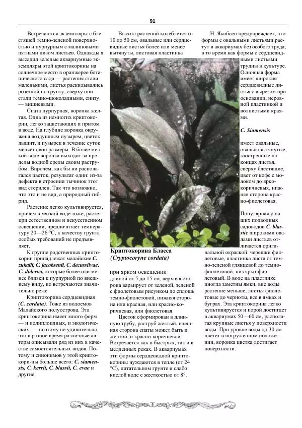 Марк Махлин - Аквариумный сад - Страница № 92