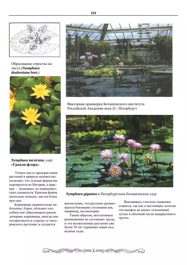 Марк Махлин - Аквариумный сад - Страница № 134