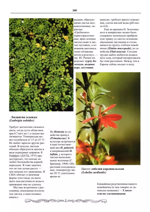 Марк Махлин - Аквариумный сад - Страница № 170