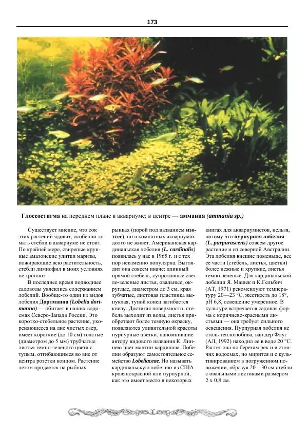 Марк Махлин - Аквариумный сад - Страница № 174