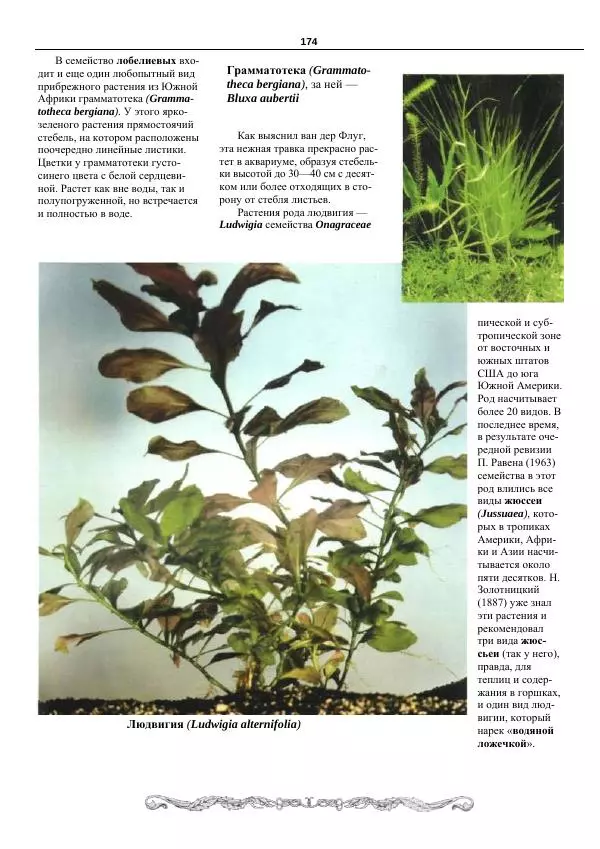 Марк Махлин - Аквариумный сад - Страница № 175