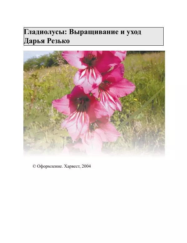 Дарья Резько - Гладиолусы - Страница № 3